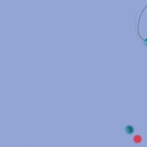 Oligo & Probe custom