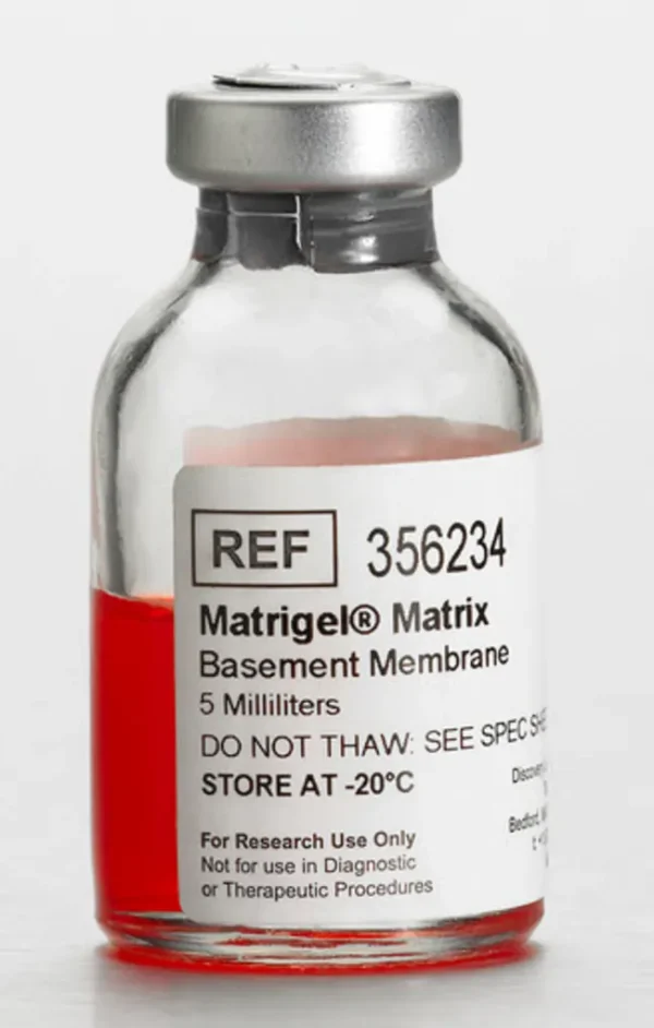 Matrigel®- Matrice per organoidi